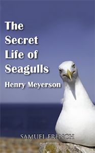 The Secret Life of Seagulls