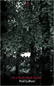 In a Dark Dark House