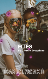 Flies