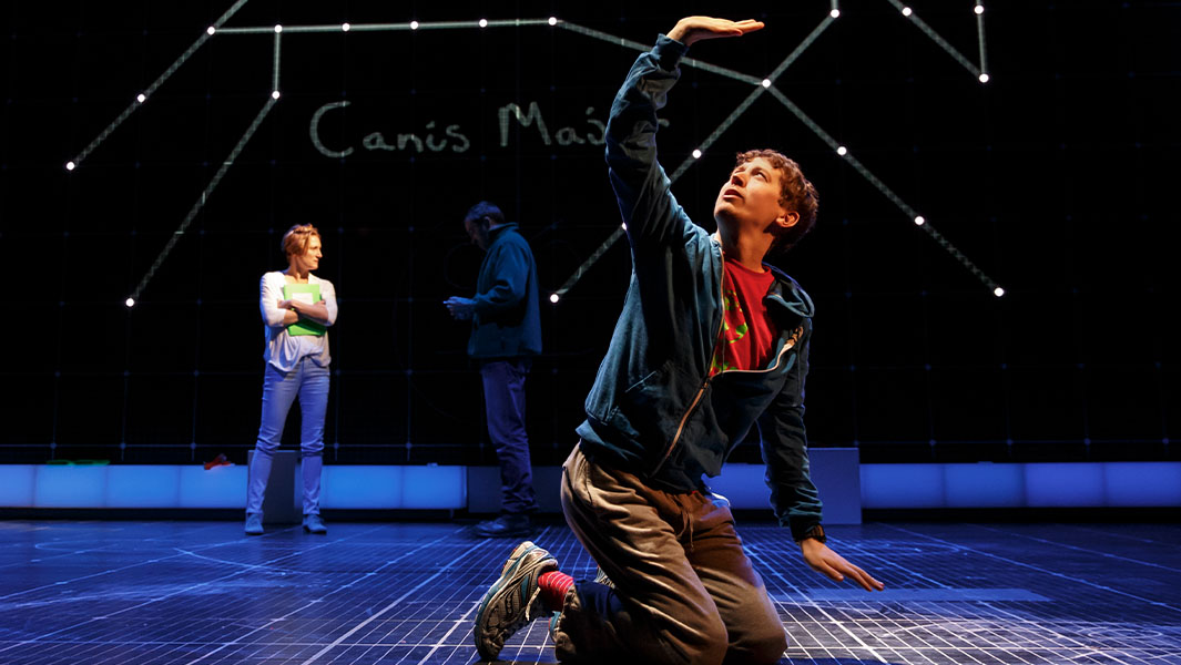 The Curious Incident of the Dog in the Night-Time