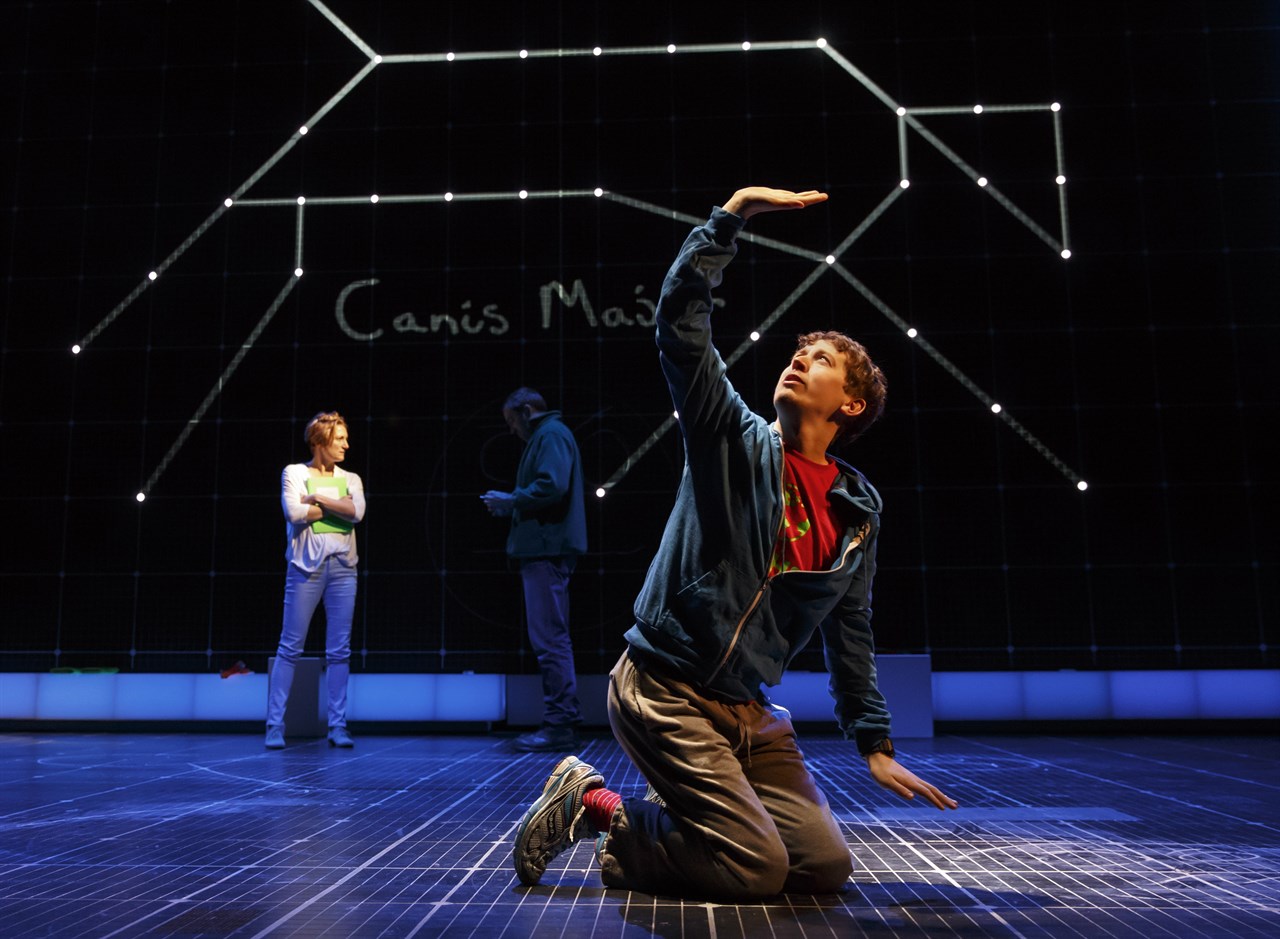 The Curious Incident of the Dog in the Night-Time: Abridged for Schools