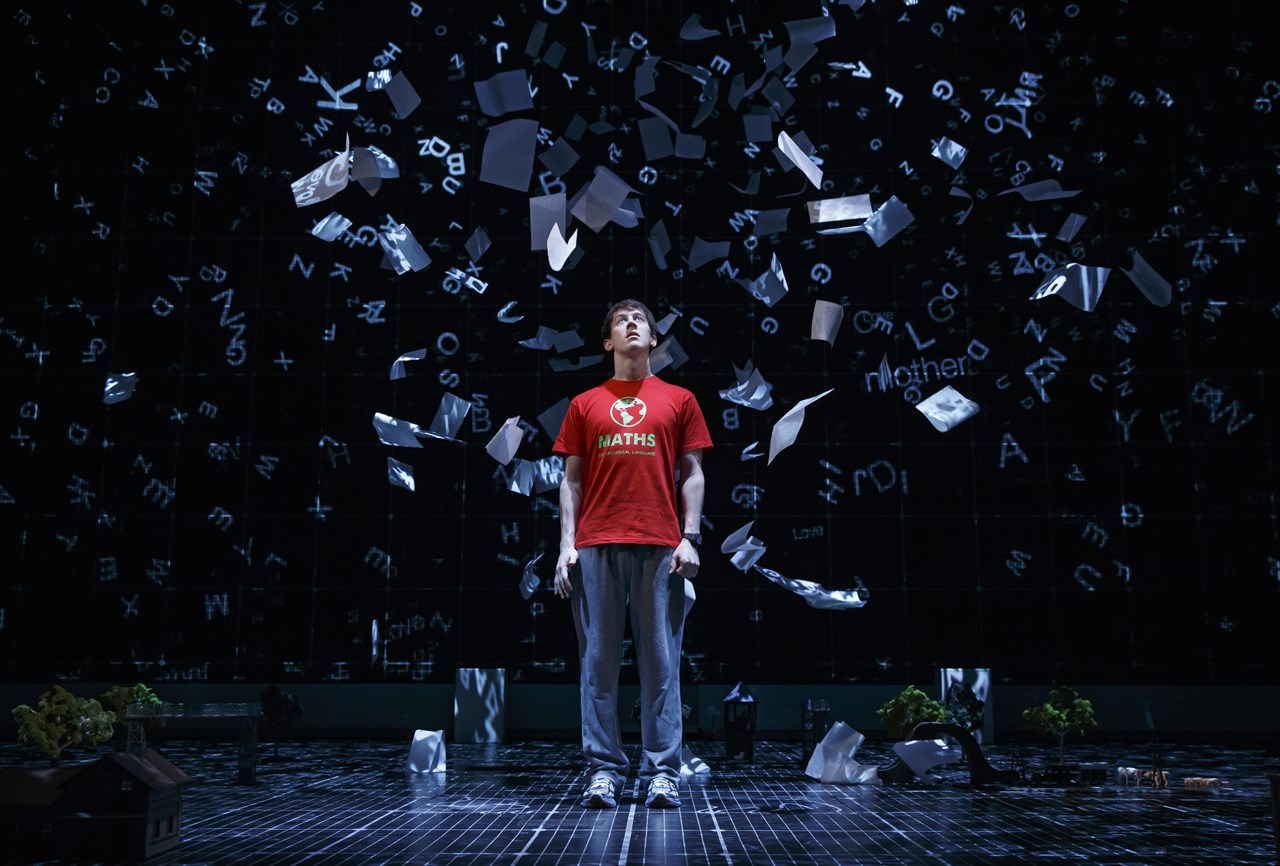 The Curious Incident of the Dog in the Night-Time: Abridged for Schools
