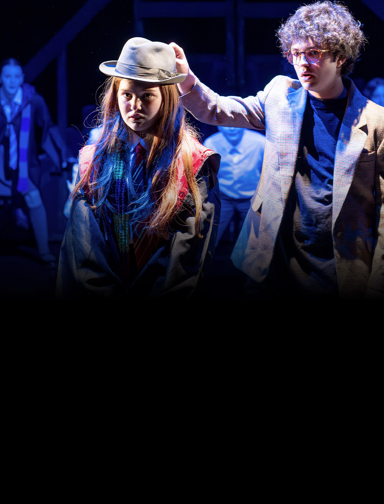 Harry Potter and the Cursed Child (Secondary School Edition)