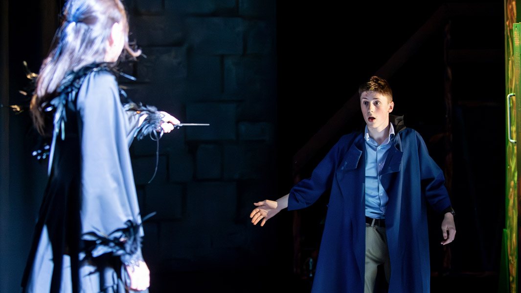 Harry Potter and the Cursed Child (Secondary School Edition)