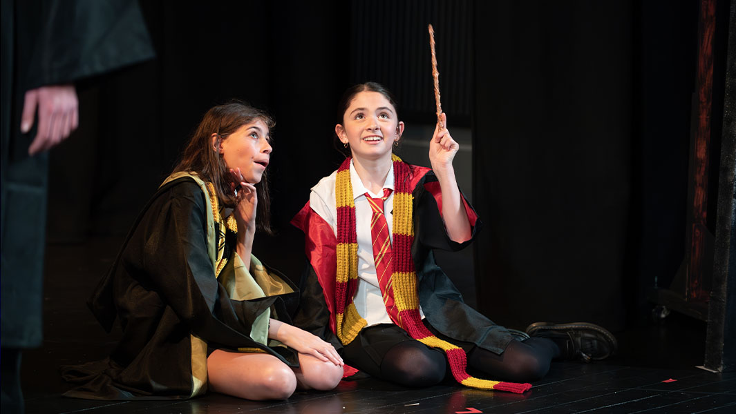 Harry Potter and the Cursed Child (Secondary School Edition)