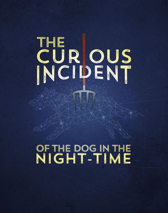 The Curious Incident of the Dog in the Night-Time